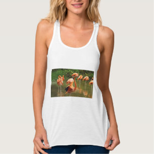 as camisetas das mulheres, camisetas fêmeas,