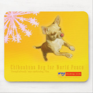 As chihuahuas imploram pela paz de mundo Mousepad