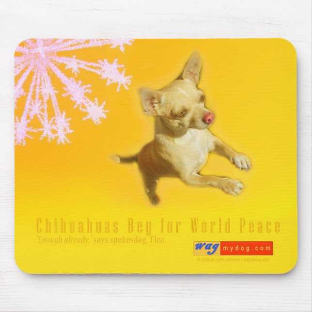 As chihuahuas imploram pela paz de mundo Mousepad (Frente)