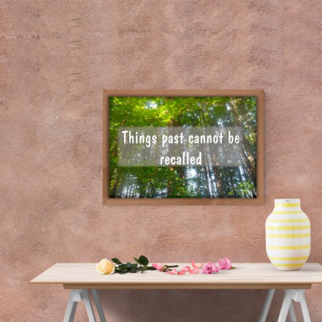 As coisas passadas não podem ser lembradas poster  (Criador carregado)