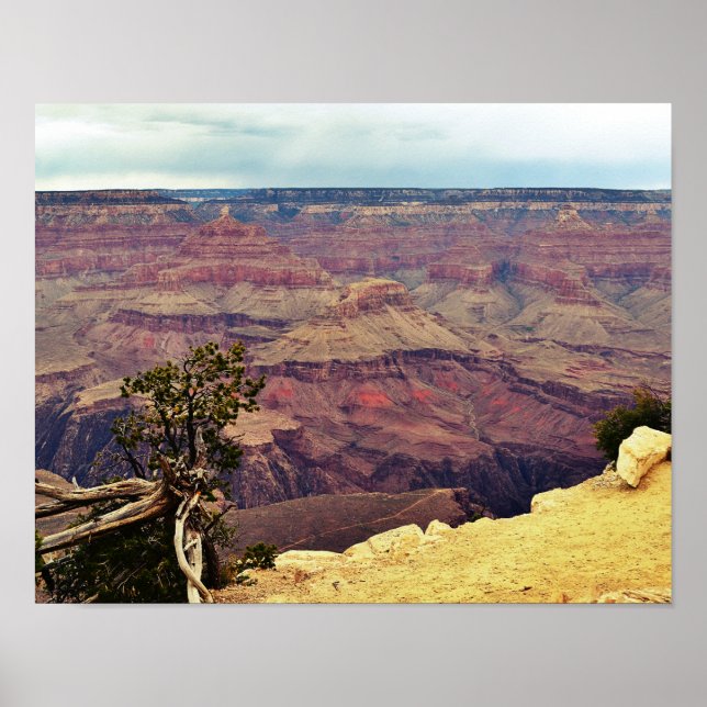 As cores do Poster do Grand Canyon (Frente)