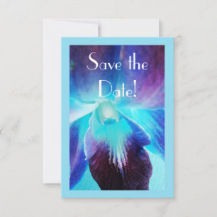 As economias da orquídea azul o anúncio da data