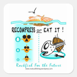 As etiquetas da pesca do bodião, Recompress ou
