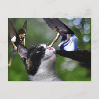 As Fairys e o Cartão de Posto Kitty Cat