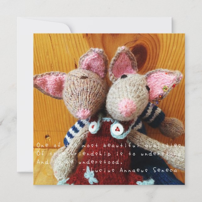 As incríveis aventuras de Amelia (Frente)