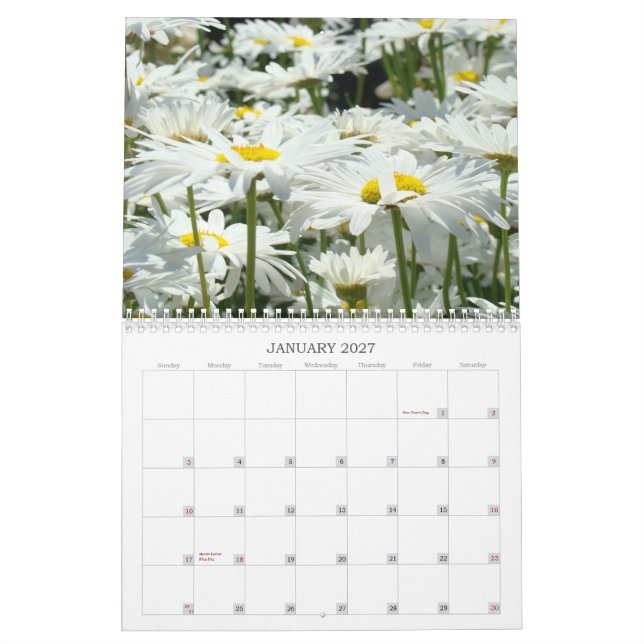 As irmãs feitas sob encomenda dos calendários são (Jan 2027)
