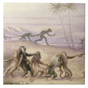 As maneiras e os costumes dos macacos