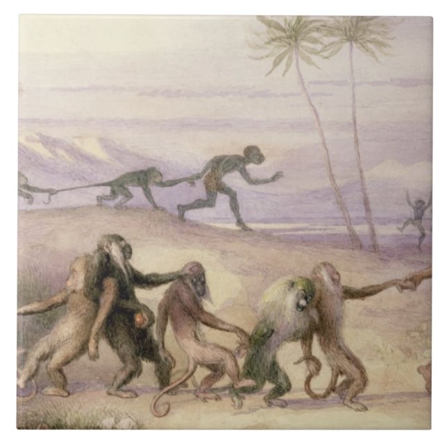 As maneiras e os costumes dos macacos (Frente)