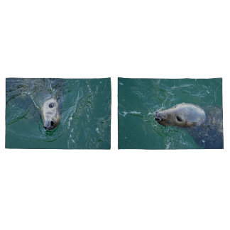 As melhores Cinzas de Chatham