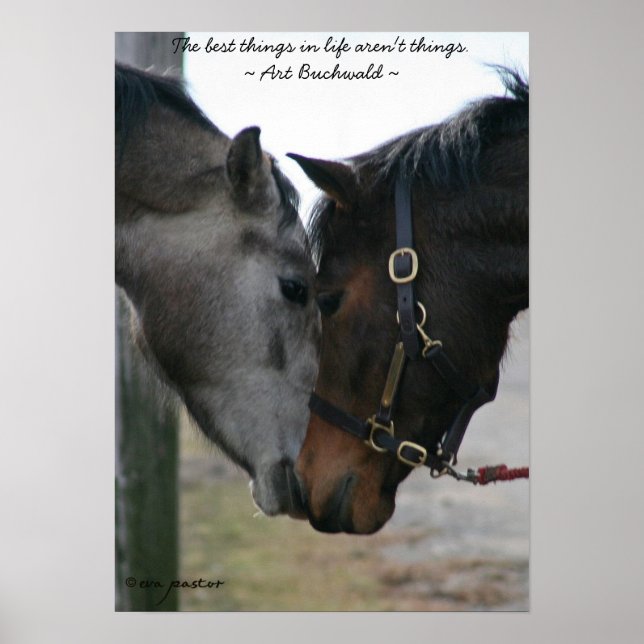 As melhores coisas na vida poster (Frente)