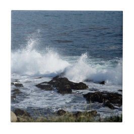 As ondas do Oceano Pacífico               