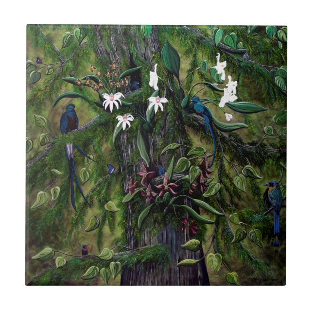 As selvas de Tikal (Frente)