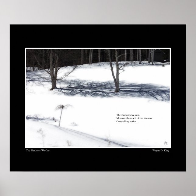 As Sombras Que Criamos O Poster Haiku (Frente)