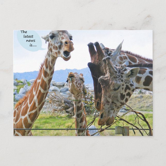 As últimas notícias são o cartão postal (Frente)