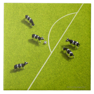 As vacas que jogam o futebol