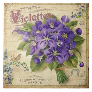 As violetas de France do vintage dirigem o azulejo