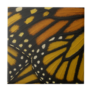 Asa de Borboleta Monarca Laranja Amarela Mariposa