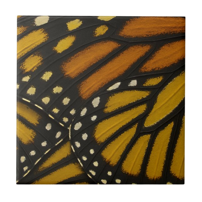 Asa de Borboleta Monarca Laranja Amarela Mariposa (Frente)