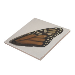 Asa de Borboleta Monarca no Papel