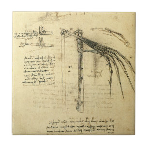 Asa de Leonardo da Vinci no esboço da máquina voad