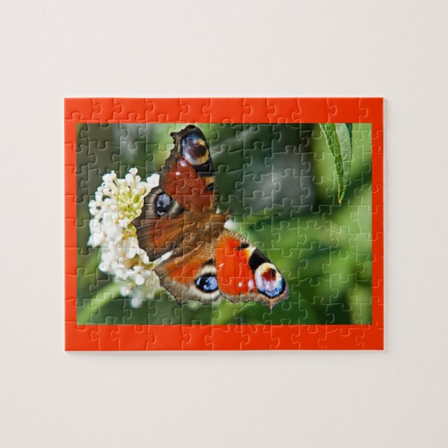 Asas da Maravilha IV Quebra-cabeça (Horizontal)