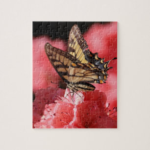 Asas da Quebra-cabeça Maravilha II