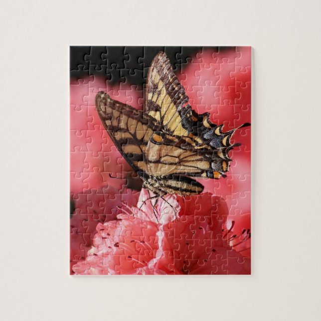 Asas da Quebra-cabeça Maravilha II (Vertical)