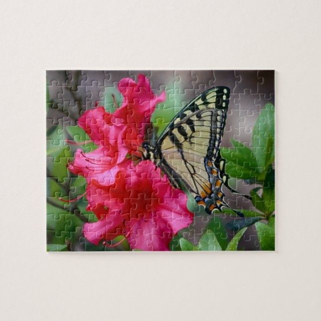 Asas de Quebra-cabeça Maravilha (Horizontal)