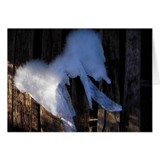 Asas & laço - cartão vazio