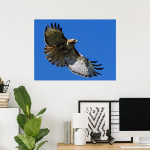 Asas majestosas impressão quadro