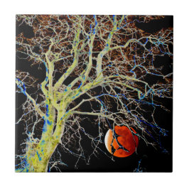 Ascensão da Lua Vermelha