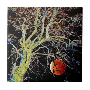 Ascensão da Lua Vermelha