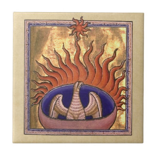 Ascensão Phoenix dos Ashes