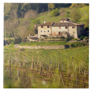 Aschuito, uma fazenda que aceita convidados.