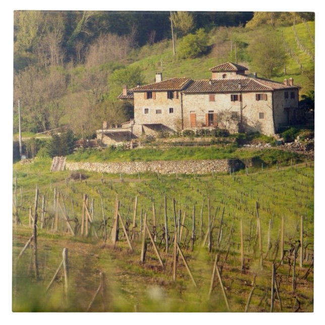 Aschuito, uma fazenda que aceita convidados. (Frente)