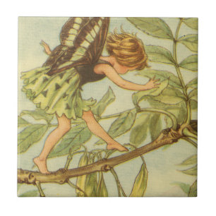 Ash Tree Fairy Walking on Branch