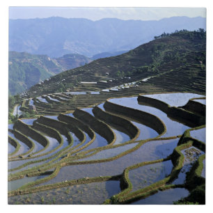 Ásia, China, Yunnan, Yuanyang. Áspero
