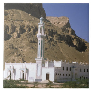 Ásia, Iêmen, Tarim. Mesquita branca.