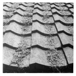 Ásia, Japão, Miyajima. Detalhes do telhado de ar