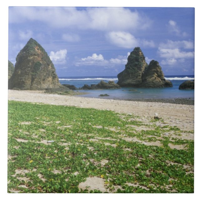 Ásia, Japão, Okinawa, Yambaru Coastline, Mar (Frente)