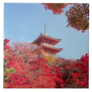 Ásia, Japão, Quioto. Cor do outono