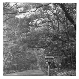 Ásia, Japão, Tóquio, Jardins do Santuário Meiji,