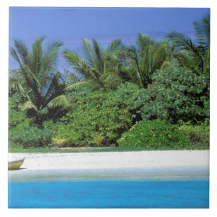 Ásia, Maldivas. Atol do Norte