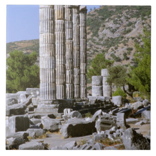 Ásia, Médio Oriente, Turquia, Ephesus. Templo de