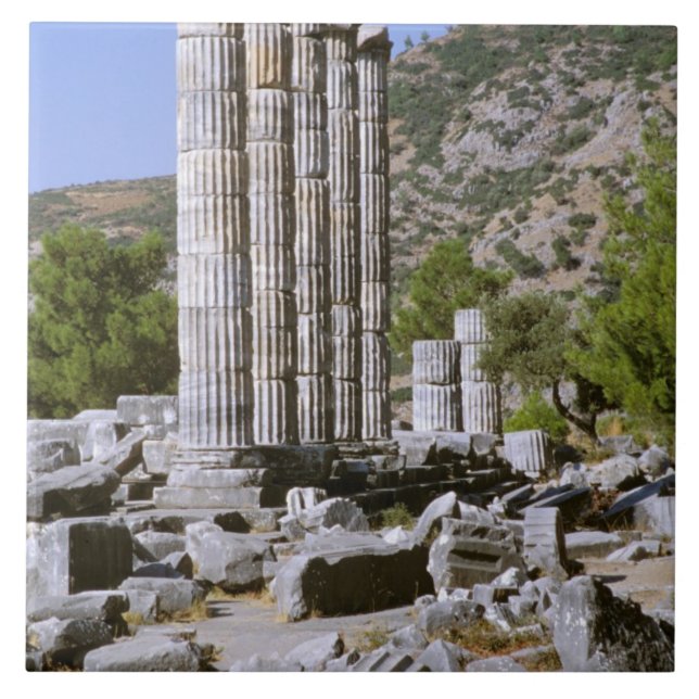 Ásia, Médio Oriente, Turquia, Ephesus. Templo de (Frente)