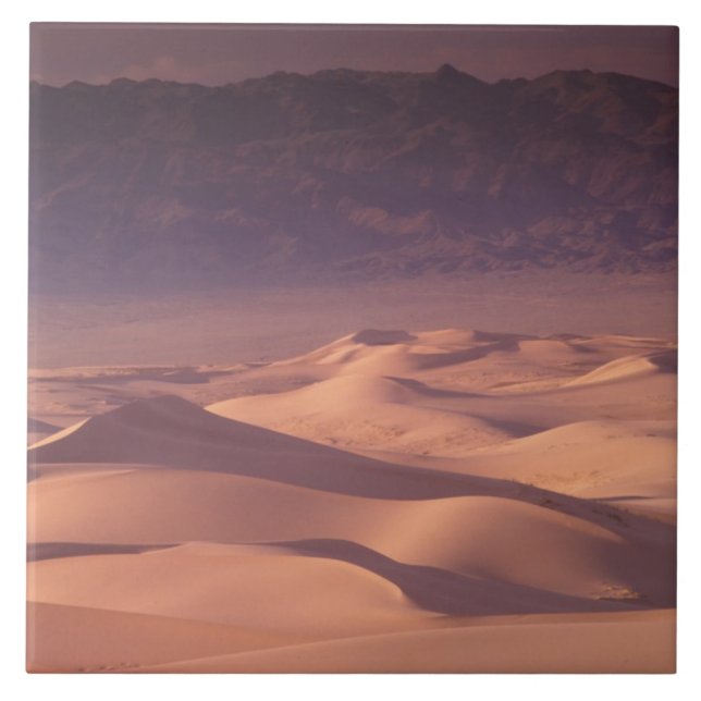 Ásia, Mongólia, Deserto de Gobi, Gobi Gurvansaikha (Frente)