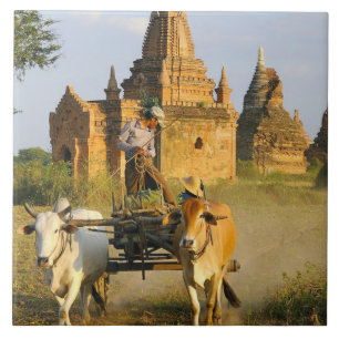 Ásia, Myanmar (Birmânia), Bagan (Pagan). Uma carro