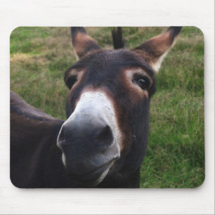 Asno de sorriso Mousepad