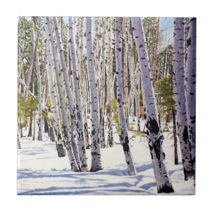 Aspen Árvores na Floresta