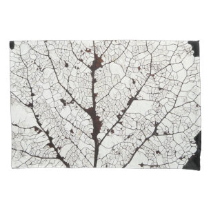 Aspen Esqueleto 1